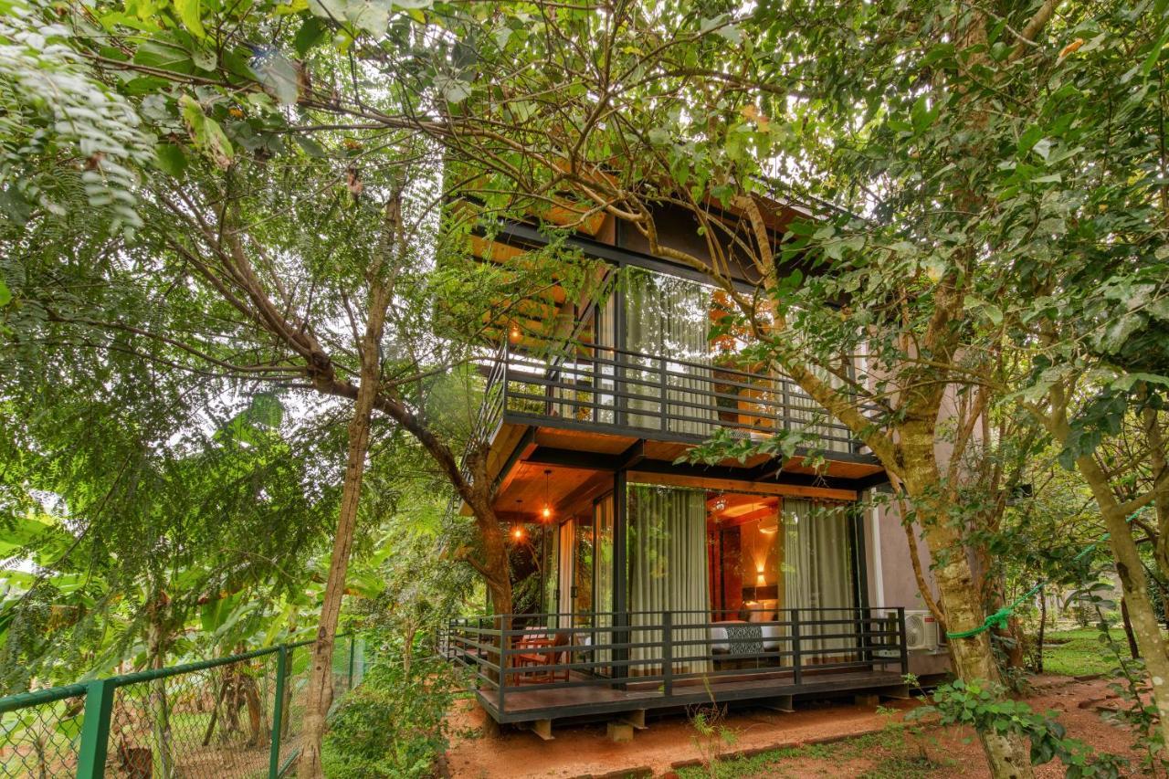 סיגירייה Atha Resort מראה חיצוני תמונה A tree house at the resort