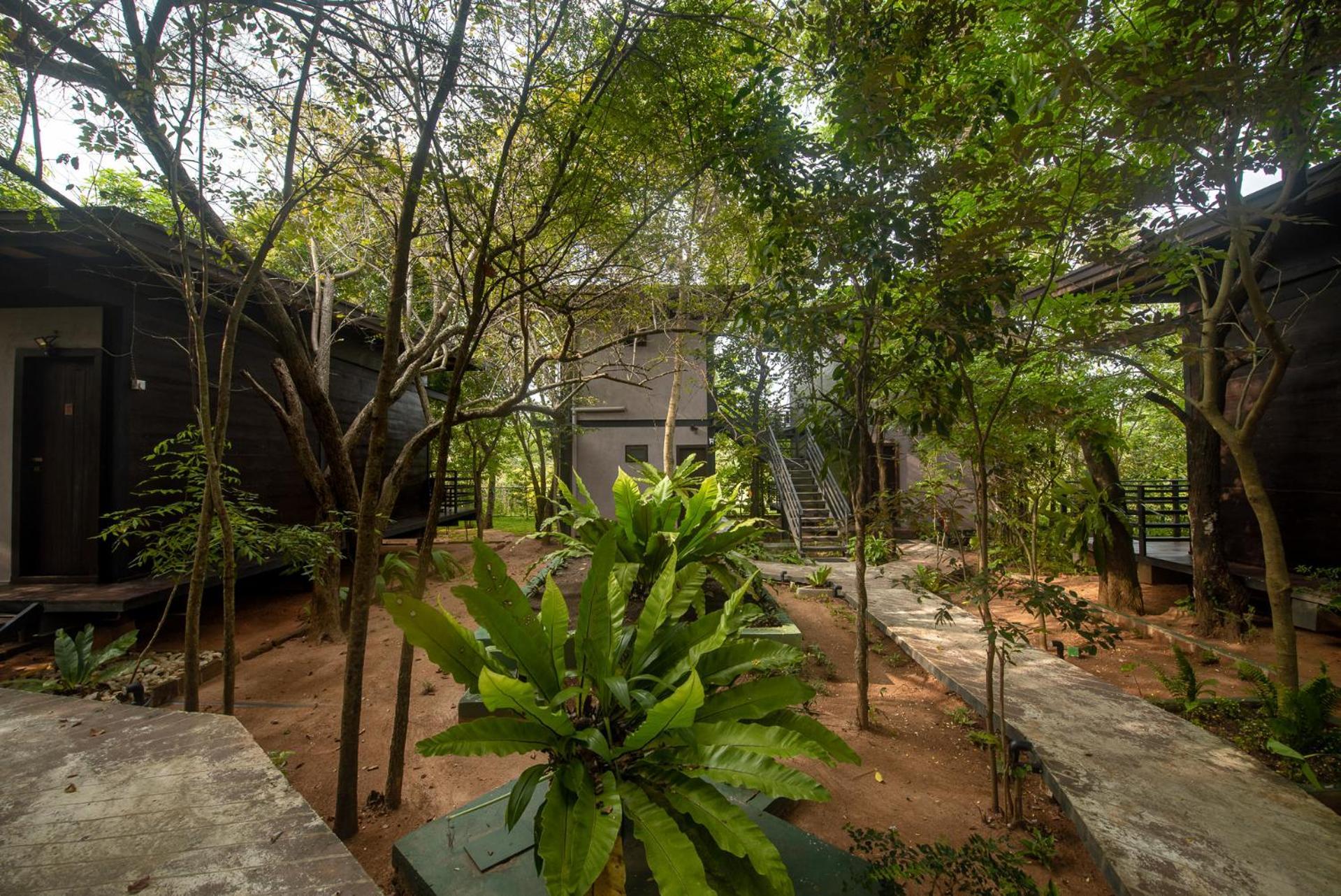 סיגירייה Atha Resort מראה חיצוני תמונה
